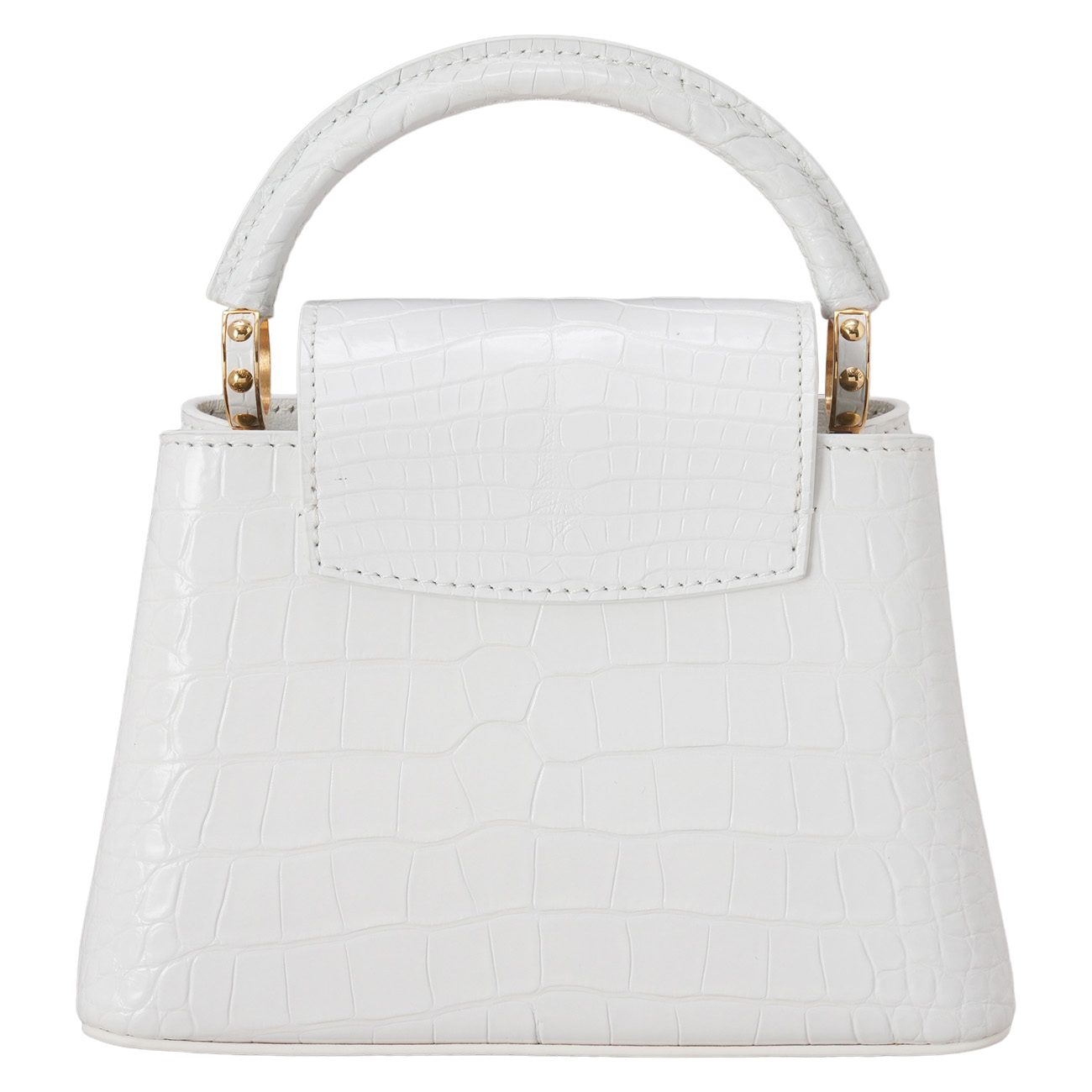 LOUIS VUITTON(USED)루이비통 이그조틱 와니 카퓌신 미니